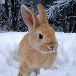 Meet your Posher, Sheida